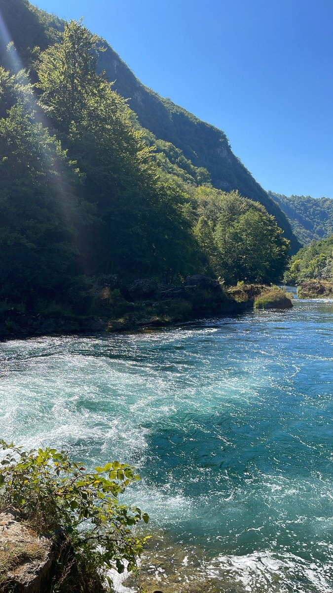 سلطان ع النعمان tweet media