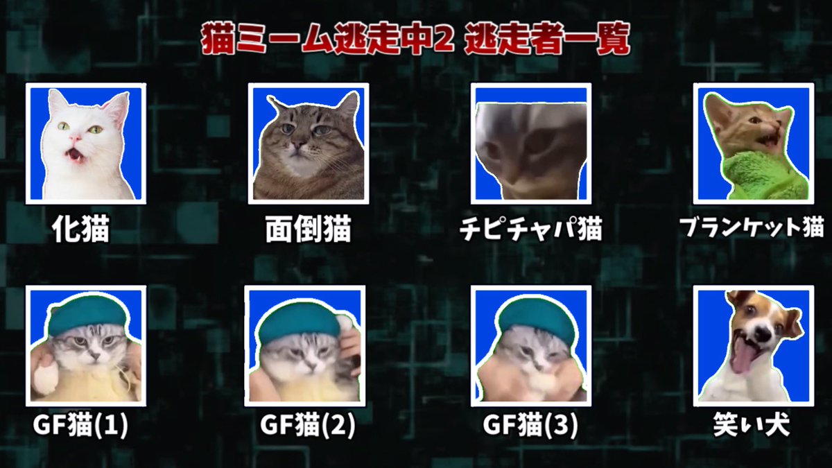 猫ミーム Gx-gTP7b0AAcb89.jpg
