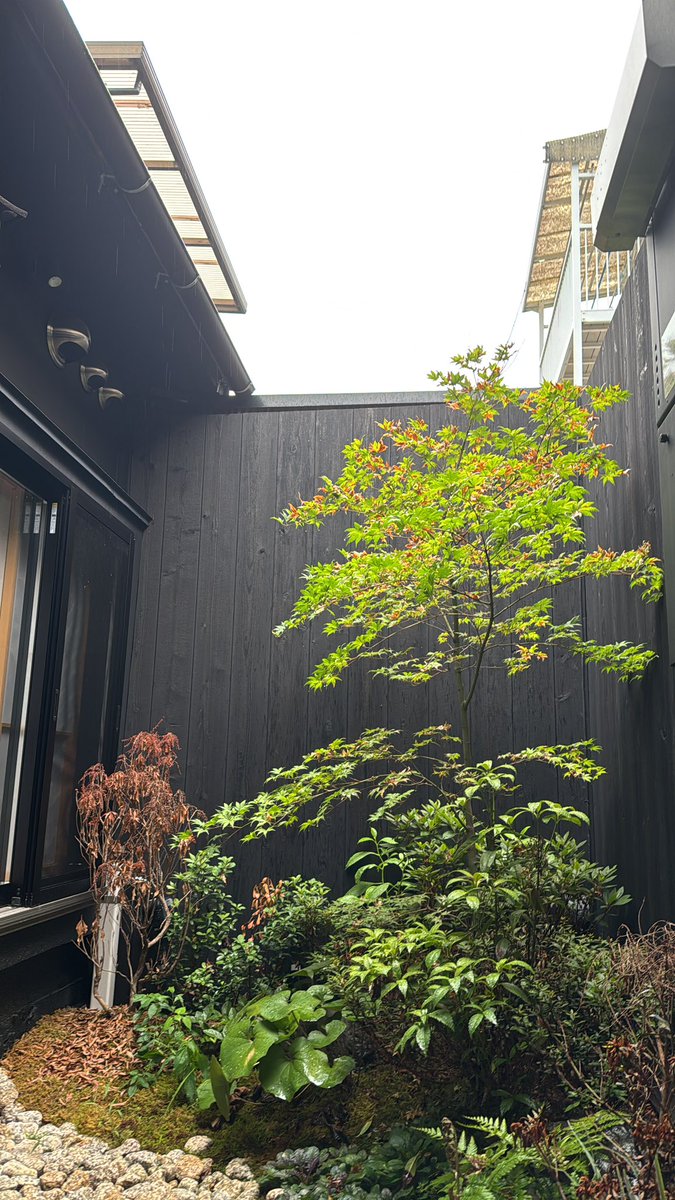 Falls ihr überlegt nach Japan zu fliegen, macht es.