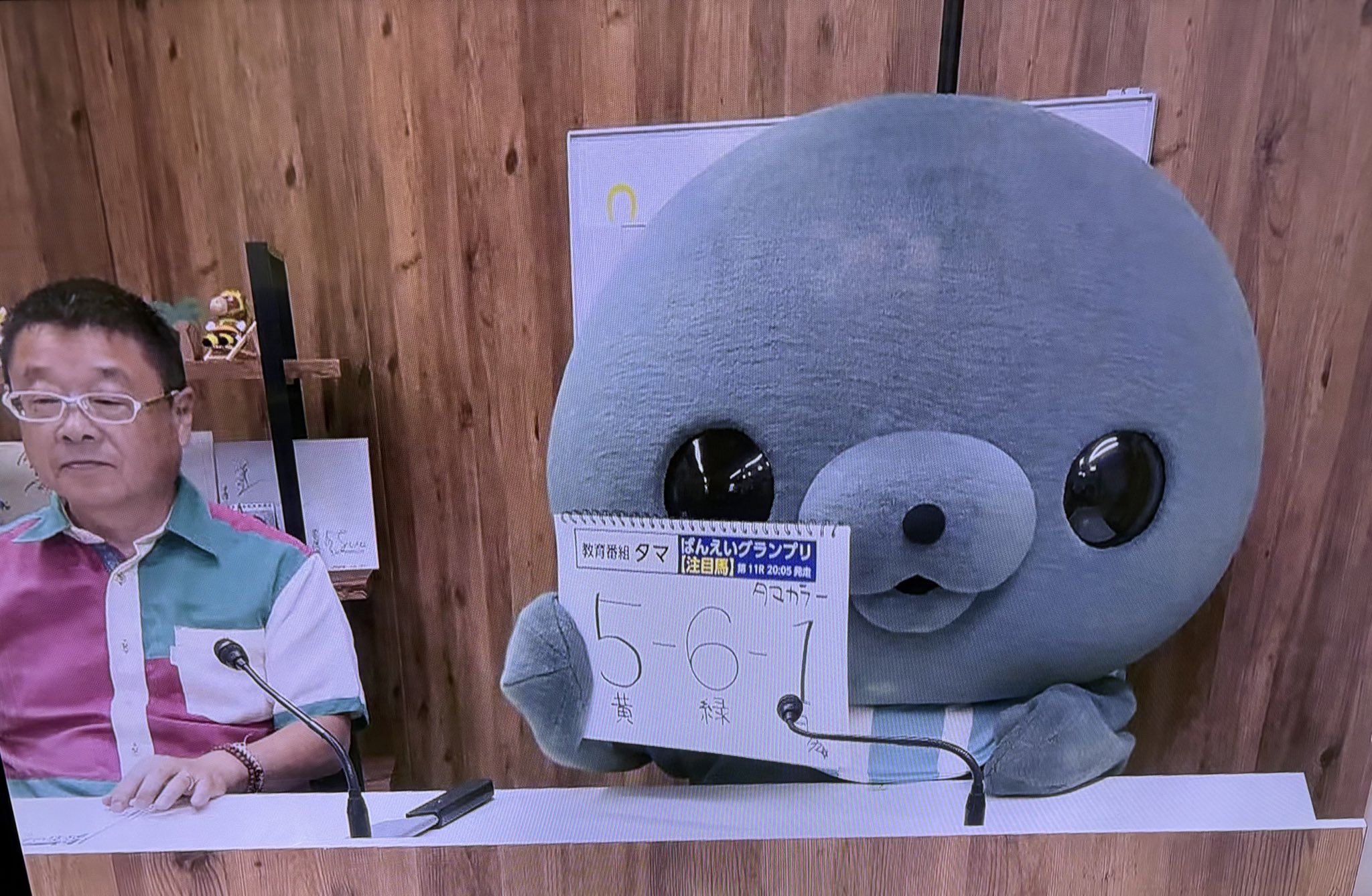 s*n様 教育番組 タマ らしく #教育番組 #みんなの教育番組 #MNS