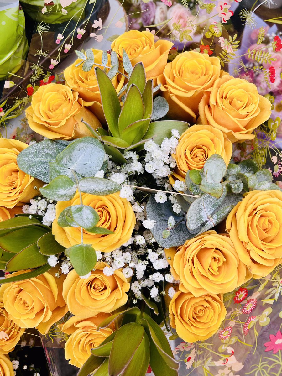 Sunday’s blessings dear friends 💛🌿

📸 10.8.25 me