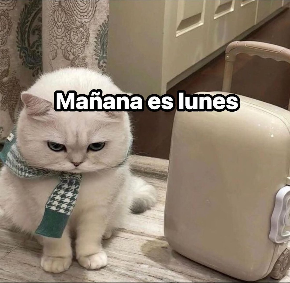En Júpiter (@en_jupiter_) on Twitter photo 