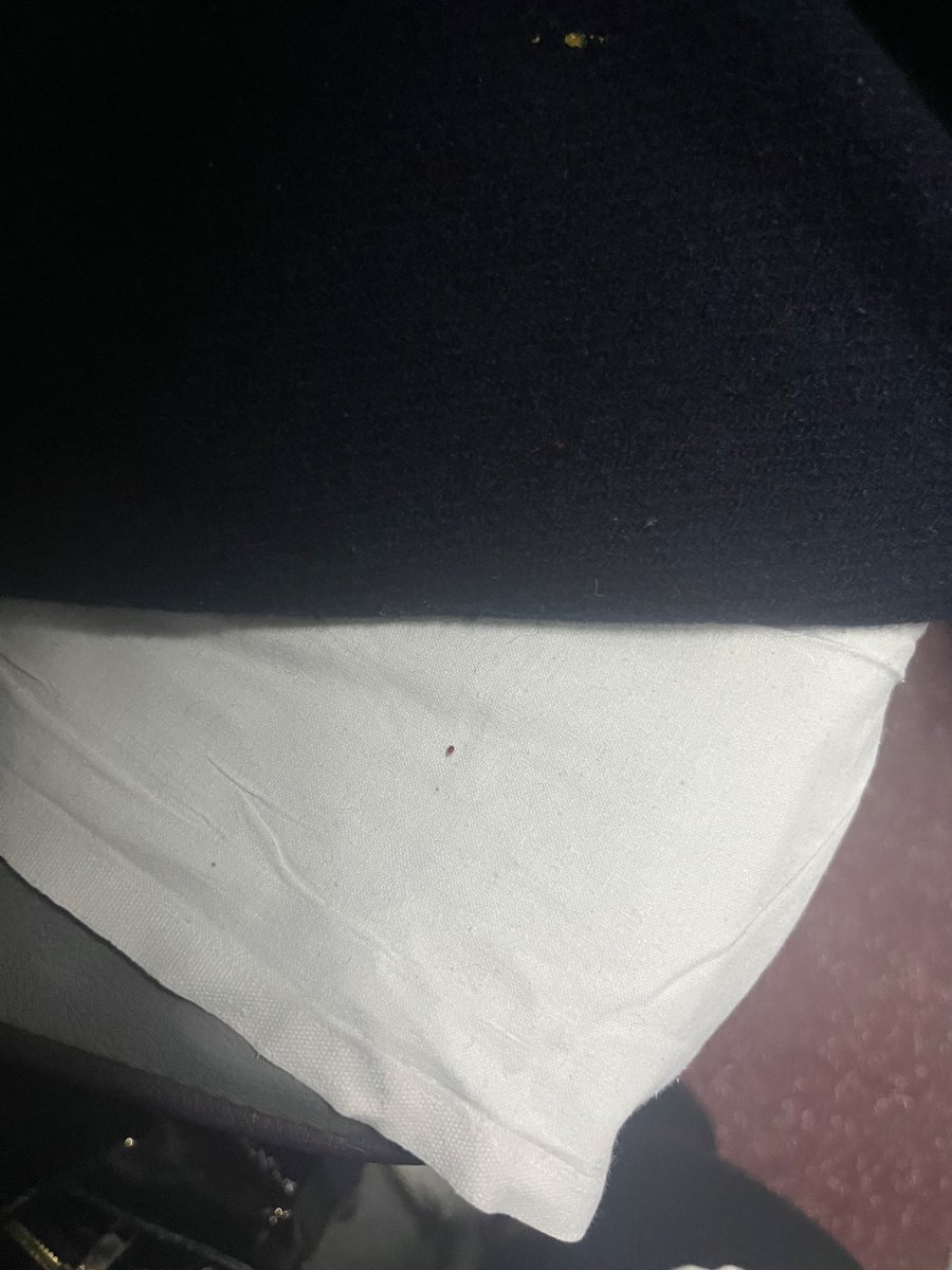 ITIKA03's tweet photo. Utterly disappointed with my recent train (12267) journey (MMCT-ADI) — the berth was infested with bed bugs. I’ve ended up with painful rashes all over my skin. This is unacceptable in 2025. @RailMinIndia @WesternRly @RailwaySeva  No passenger should have to go through this. https://t.co/iyeAkbmeW1