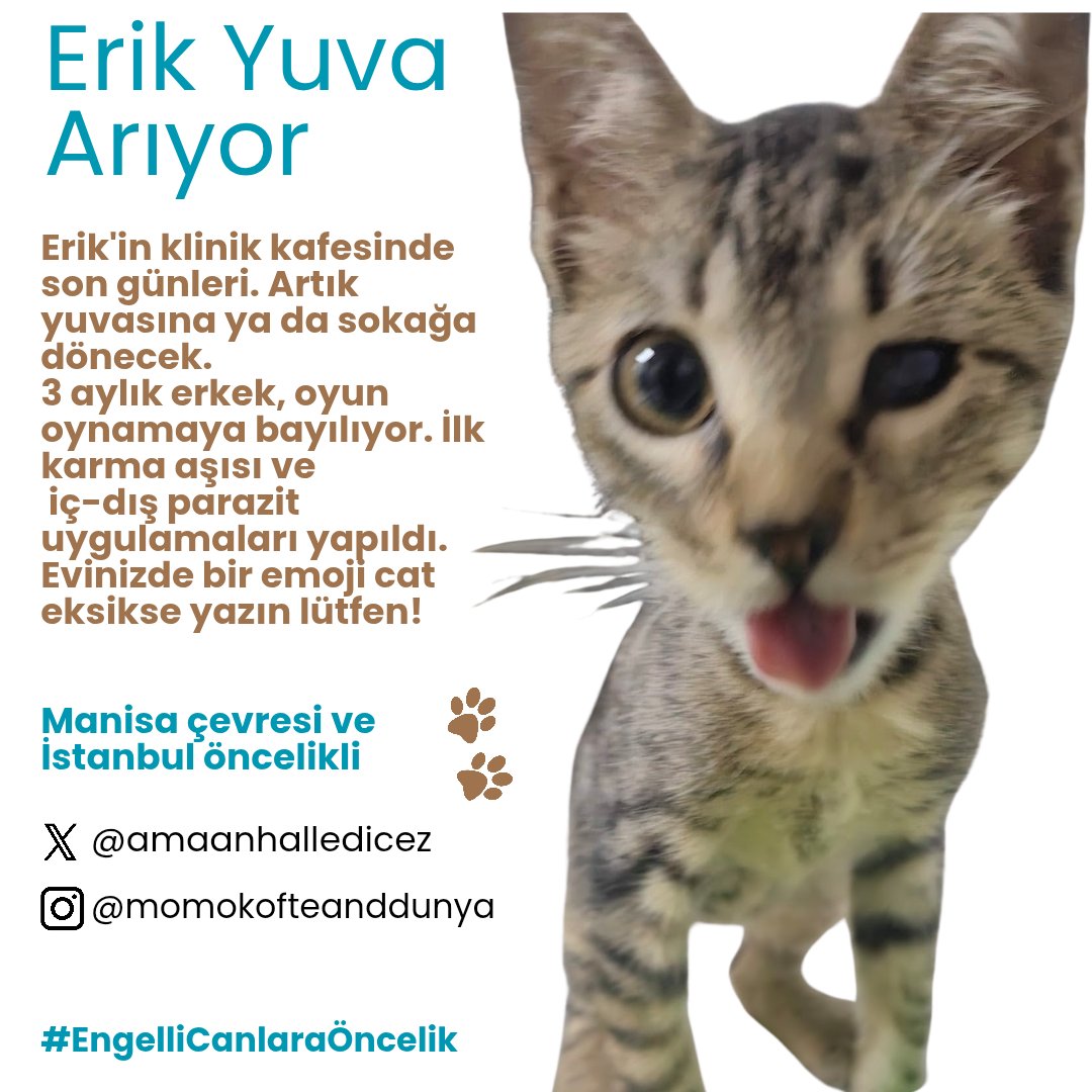 Herkesten paylaşım desteği rica ediyorum.