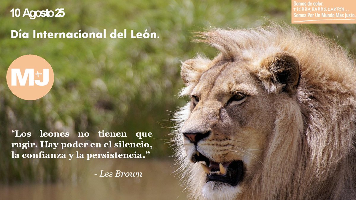 PUMJ_GRANADA's tweet photo. 🦁 Hoy es el #DíaDelLeón. Cada rugido que se pierde es una injusticia que callamos. Protegerlos es proteger el equilibrio de la vida. ¡Haz que su voz se escuche! 🌍✊ #MJGranada #JusticiaAmbiental #WildlifeConservation #UnidosPorLaVida #NatureJustice https://t.co/6uGTzyr5OP