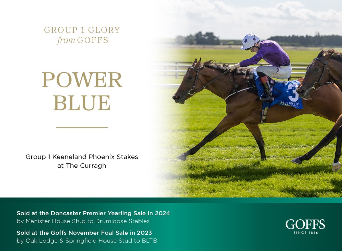 EBN (@bloodstocknews) on Twitter photo π₯ Group 1 Glory from <a href="/Goffs1866/">Goffs</a> π₯
π POWER BLUE wins the Group 1 Keeneland Phoenix Stakes at the Curragh
π Sold at the 2024 Doncaster Premier Yearling Sale by <a href="/ManisterHouse/">Luke Barry</a> to Drumloose Stables
π Sold at the 2023 Goffs November Foal Sale by <a href="/oaklodgestud/">OakLodge&Springfield</a> to BLTB
β‘οΈ π₯ Group 1 Glory from <a href="/Goffs1866/">Goffs</a> π₯
π POWER BLUE wins the Group 1 Keeneland Phoenix Stakes at the Curragh
π Sold at the 2024 Doncaster Premier Yearling Sale by <a href="/ManisterHouse/">Luke Barry</a> to Drumloose Stables
π Sold at the 2023 Goffs November Foal Sale by <a href="/oaklodgestud/">OakLodge&Springfield</a> to BLTB
β‘οΈ
