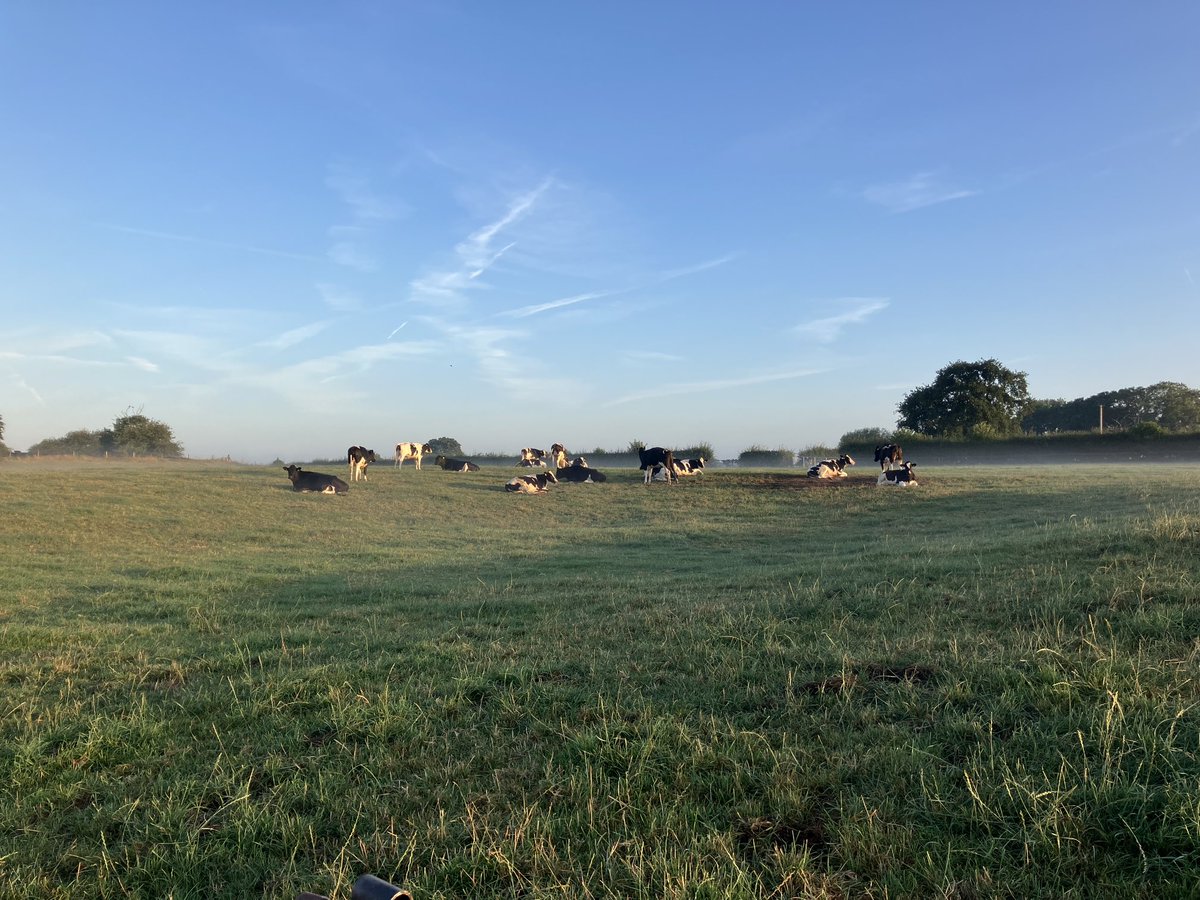 Beautiful to be out.