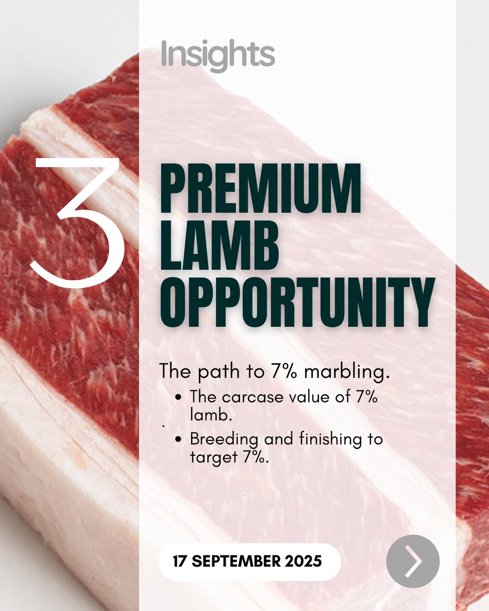 Opening the gates at Lambpro on September 17.  Open Day/Field Day.