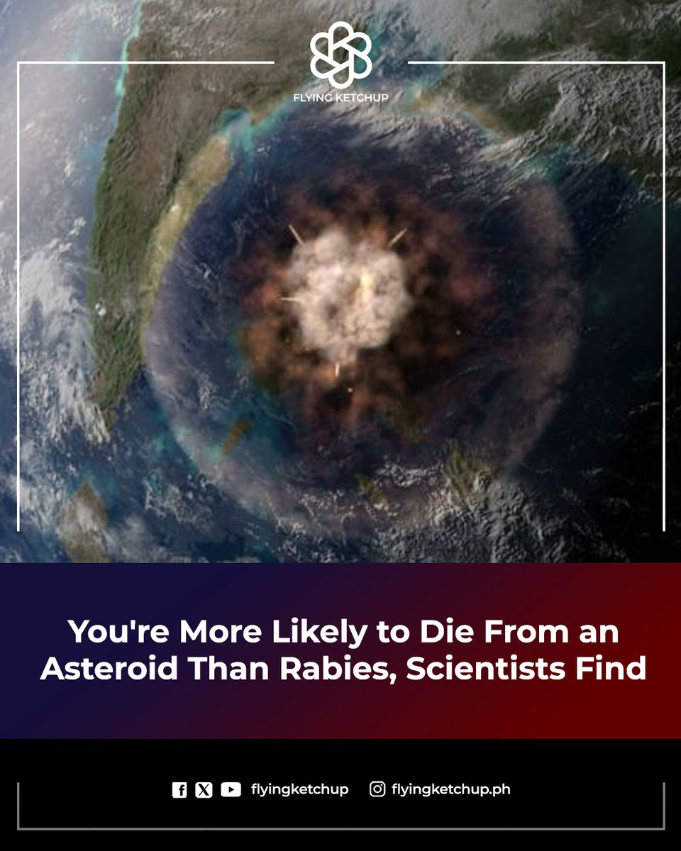 YES, death by asteroid impact is more likely to happen to you than death by rabies. 😳

FULL STORY: tinyurl.com/22npacs3

#FlyingKetchup