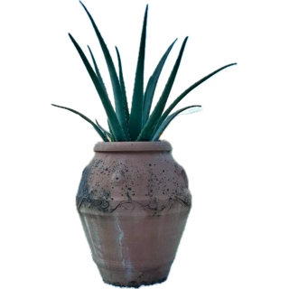 Goedemorgen beste Twixters🙋‍♀️☕️😎
Een vrolijke en gezellige zondag
Groeten uit zonnig Oostvoorne🌻⛱️☀️