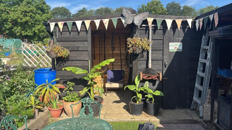 The VegPlot Man tweet media