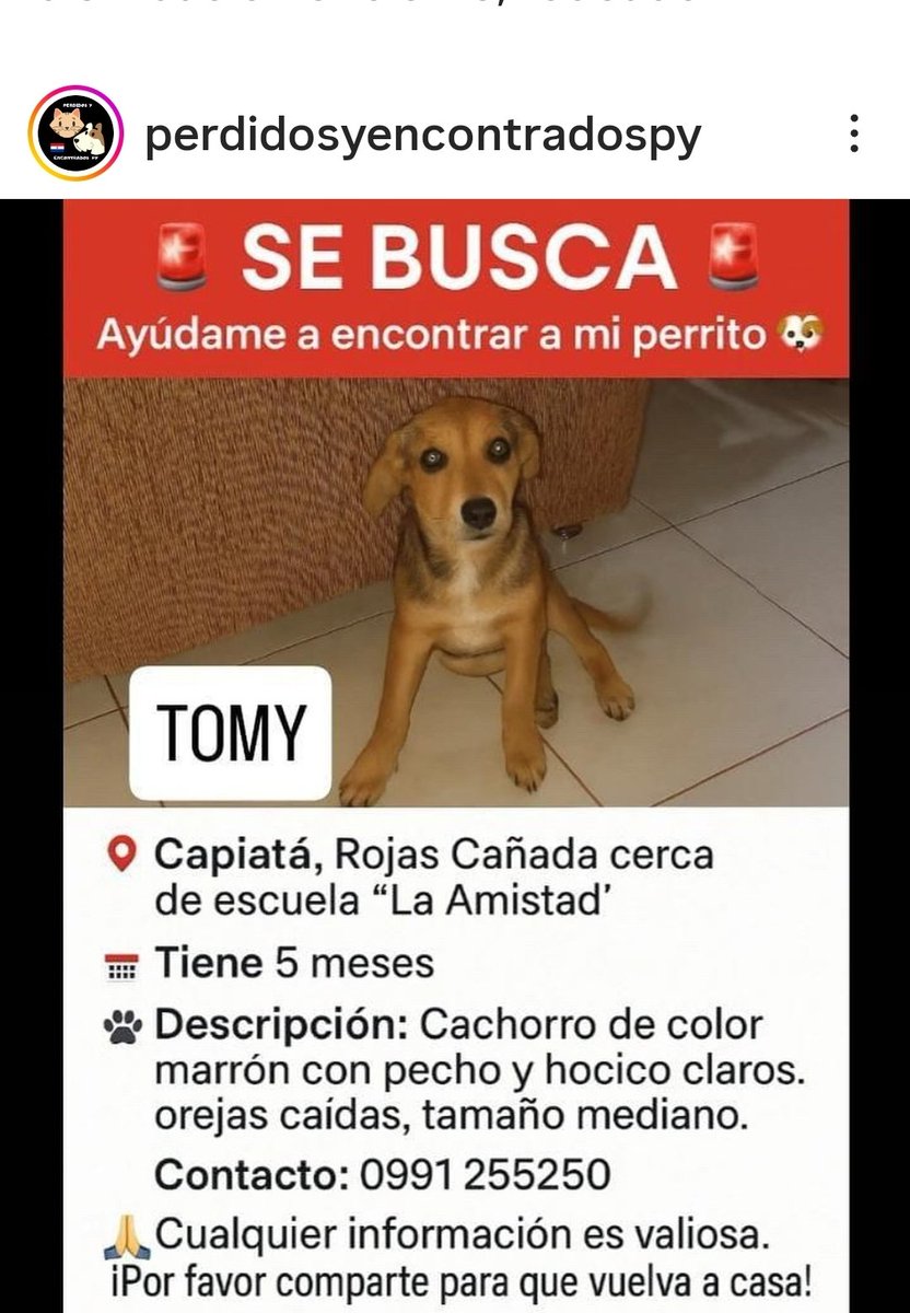 Atención zona Escuela Amistad de Rojas Cañada, Capiata.  Si le viste por favor avisa a su Familia.  Se agradece compartir