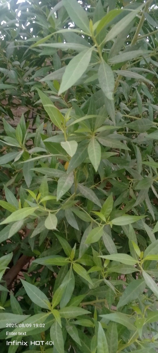 officallyB's tweet image. 