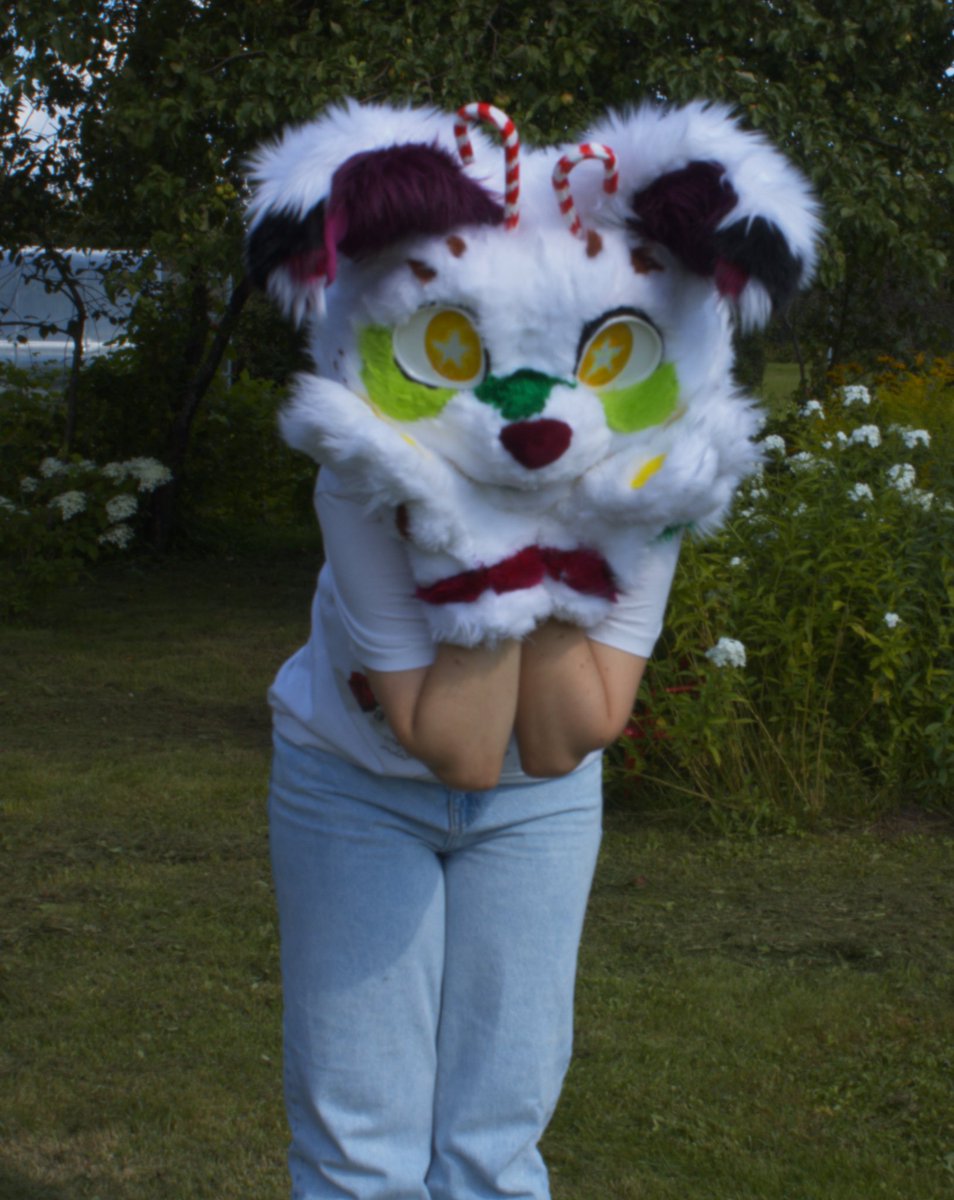 moononia's tweet photo. This lovely premade dog fursuit is looking for a lovely home. It has been looking for a home for 3 years now.

If you're interested, it's for sale on Etsy, and the dealer link is in the bio.

#fursuitmaker #furry #furryfandom #furrycommunity #fursuiter #furryadopt #FurrySeller https://t.co/mYK179gKYf