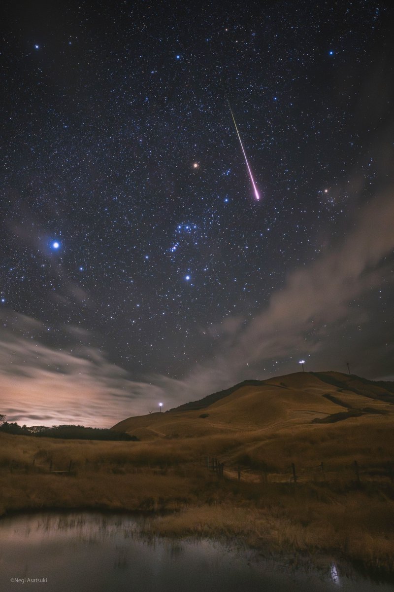 でっかい火球
来て欲しいよね
流星群