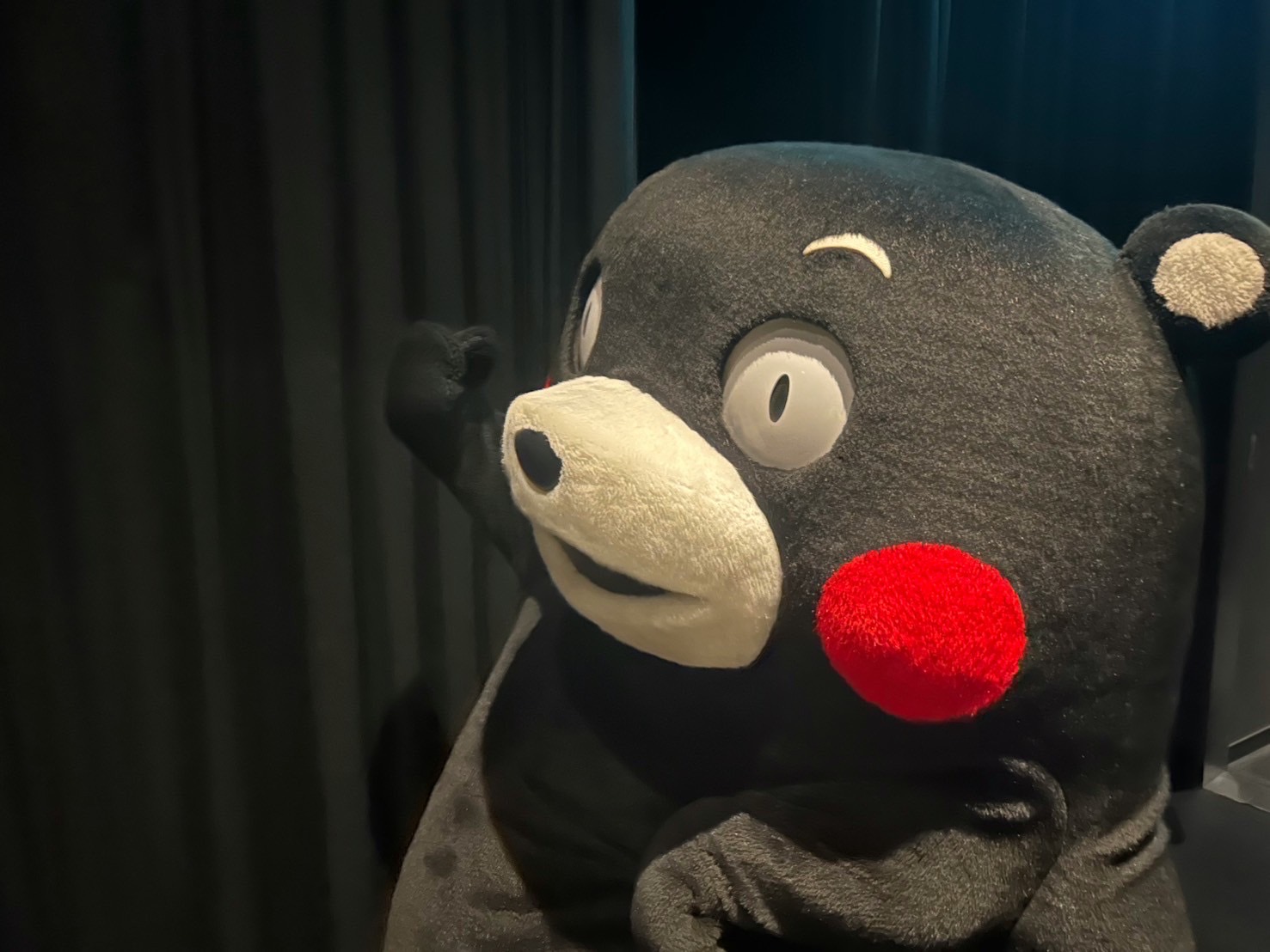 くまもん 大人気キャラクター「くまモン」をあしらった限定モデルが登場