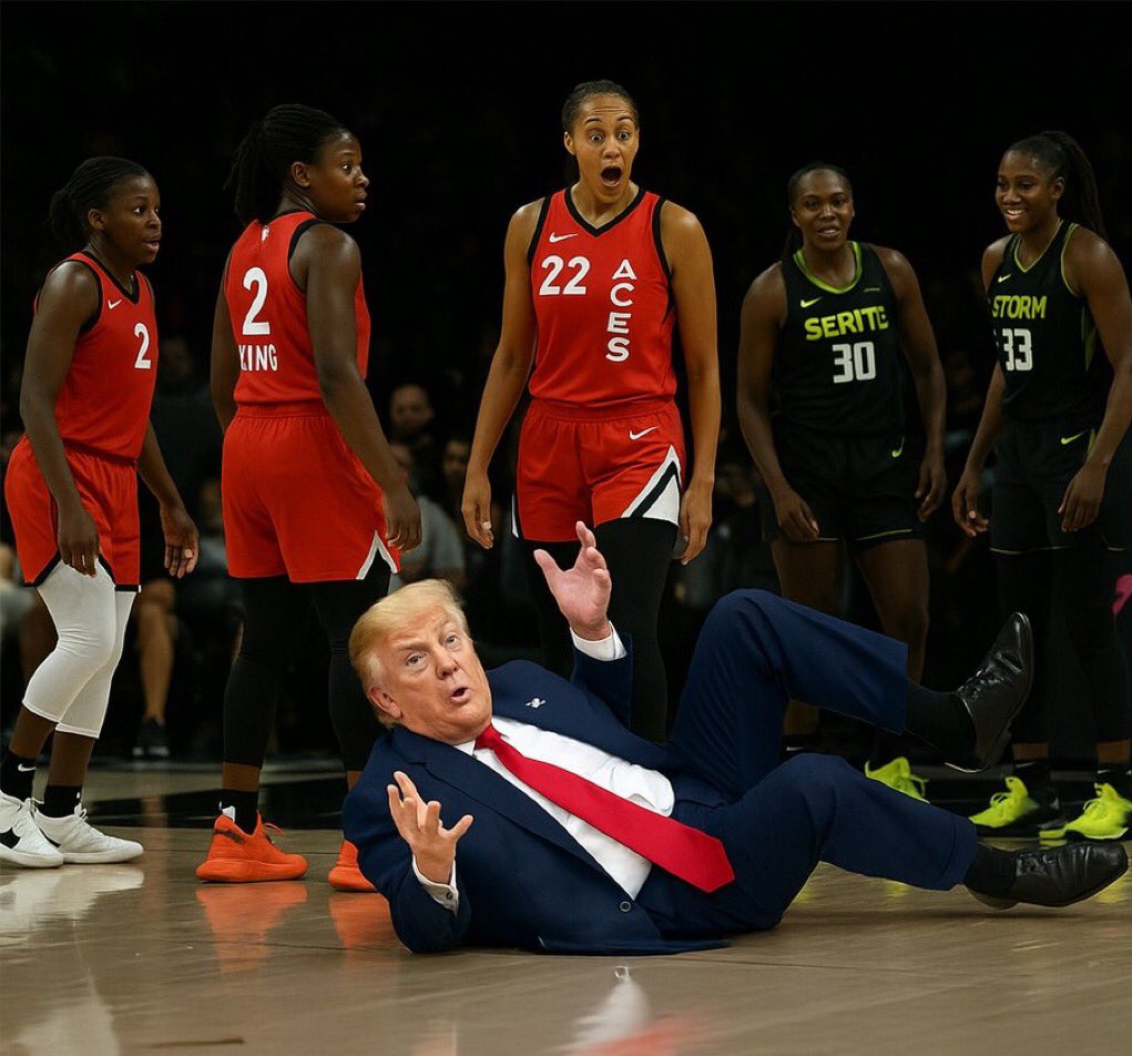 #BREAKING: WNBA game was stopped after another dildo was thrown onto the court.