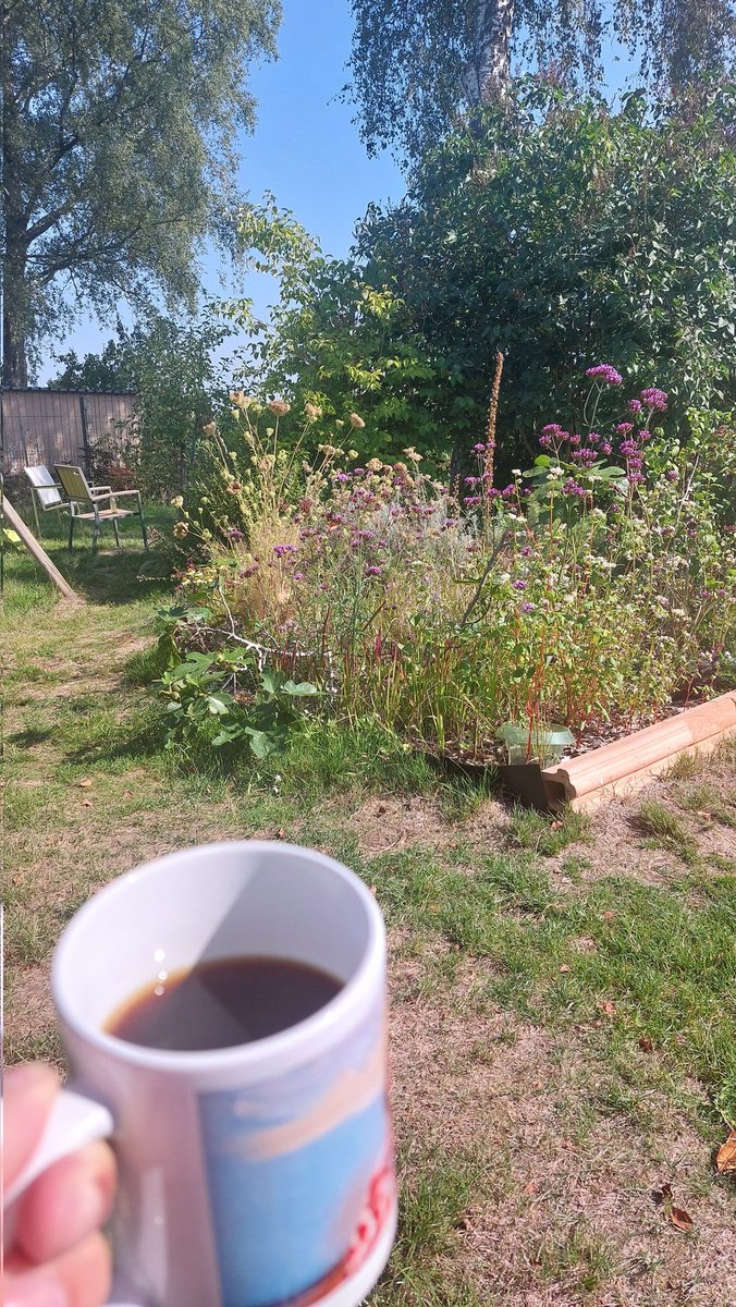 Good morning everybody☕️