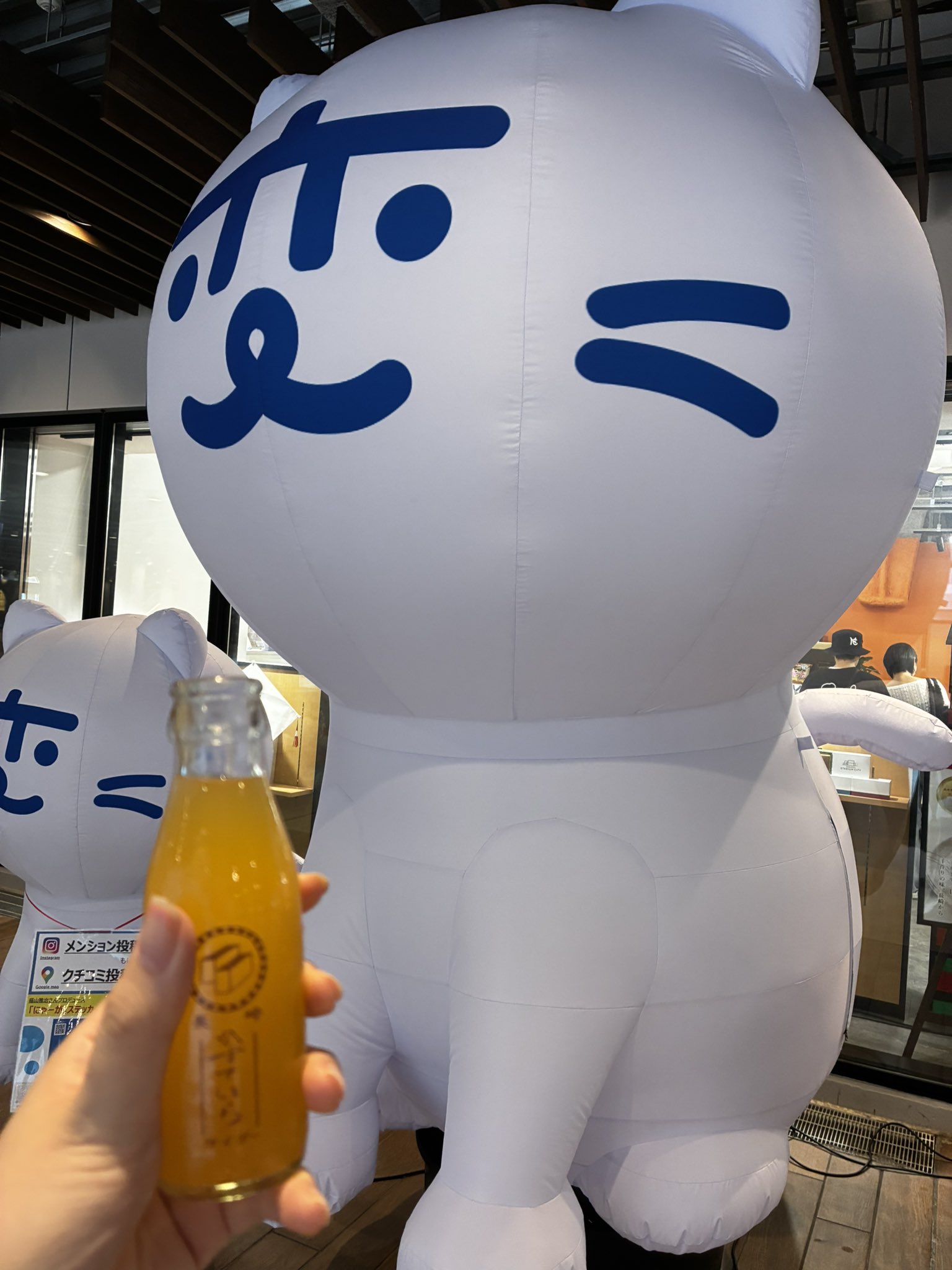 メタボな黃トラさんとダックスのカップル、揚げものが好き！ SHEINのホットドッグ🌭 写真撮るの難しすぎる…😵 サイズはひなが