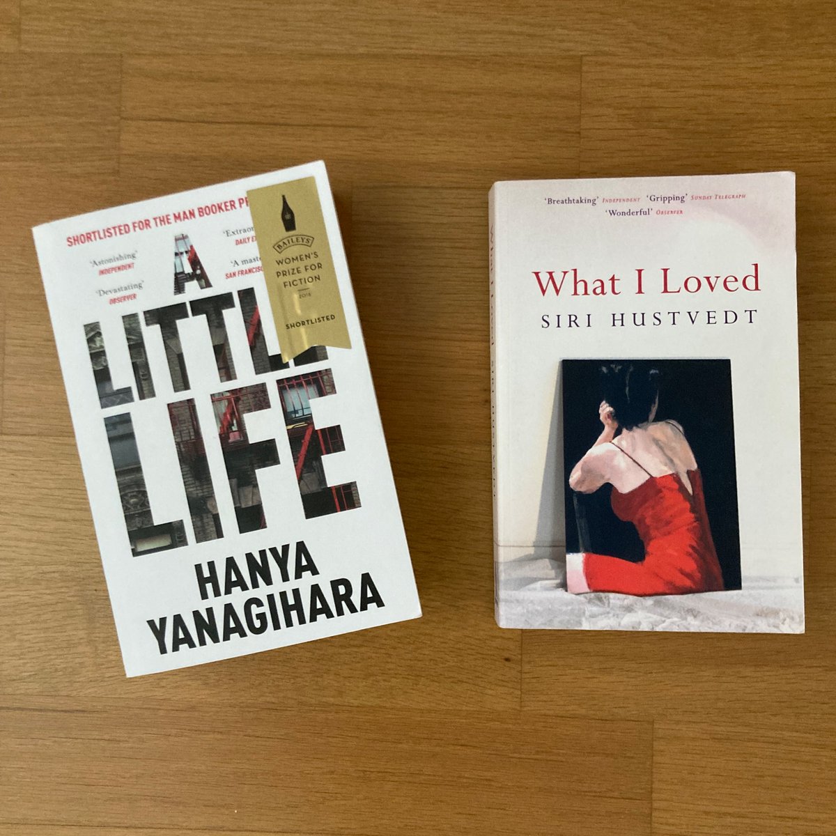 Si te gustó Tan poca vida de Hanya Yanagihara,

te gustará (más) Todo cuanto amé de Siri Hustvedt ❤️‍🩹