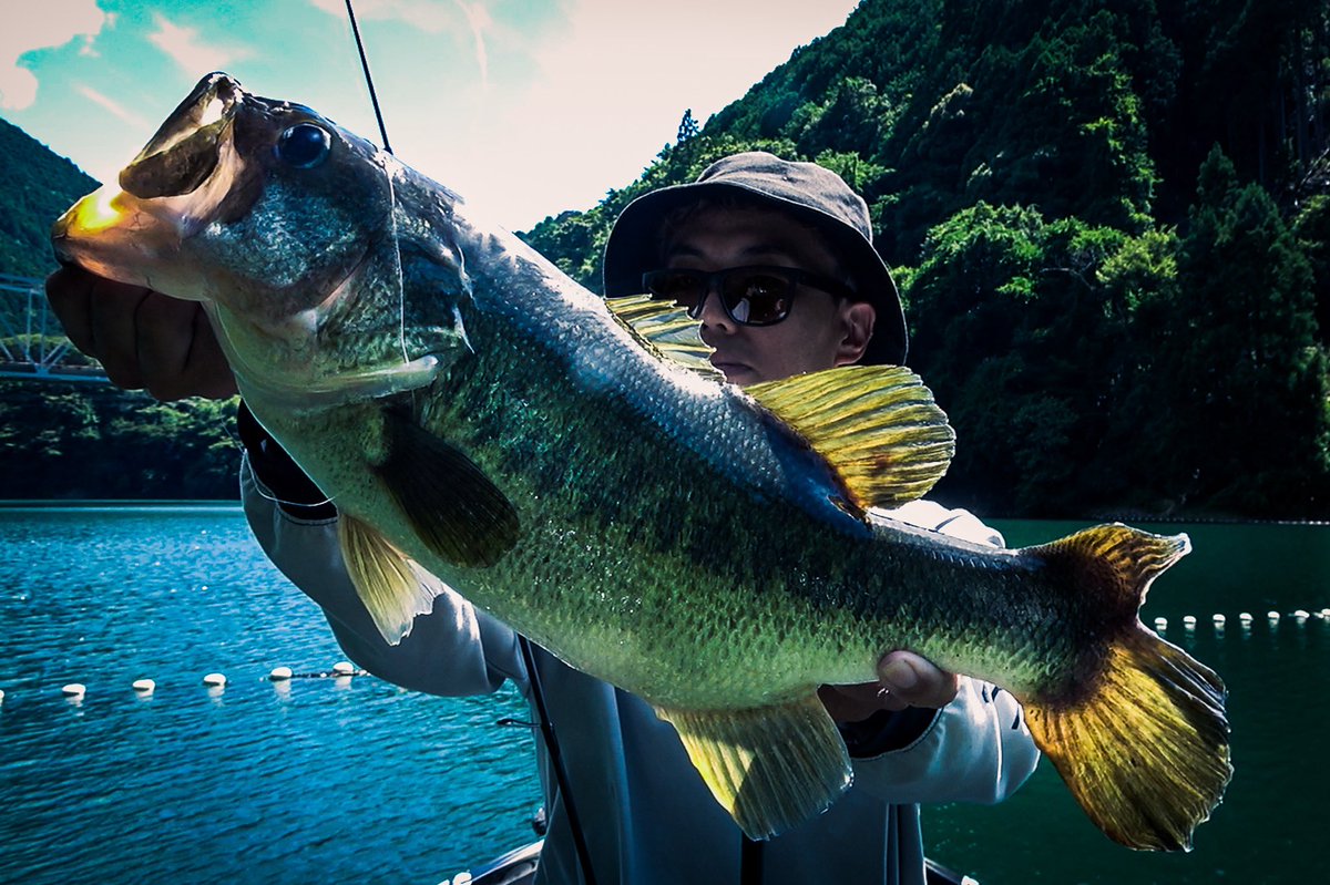 lifegraph_woody's tweet image. @the.three.percent_official プロトロングワーム【 L13 UPPER 】のテスト。

ちょっと変わった素材を導入してみたんですが、動きは◎

ただ思ったような耐久性が出ず、この素材もNGかなと。

素材探求の旅は続きます…

#3pct 
#ロングワーム 
#L13UPPER 
#池原ダム 
#バスフィッシング