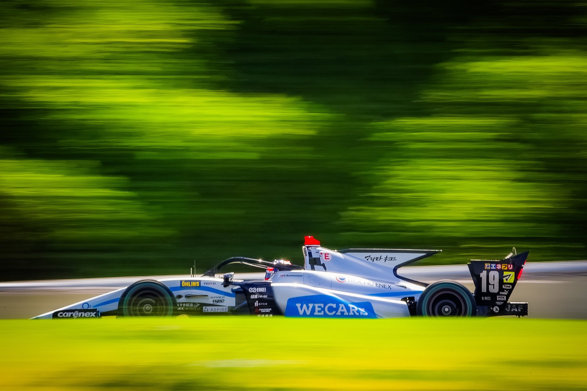 明治 エレメンタルフォーミュラ 未開封9箱とバラ24本 明治