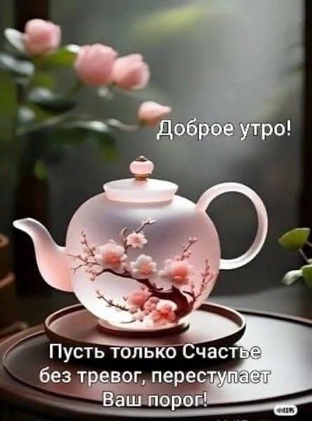 <a href="/apixsun/">Ludmila☀</a> <a href="/Orhan63831152/">Orhan🇹🇷🇹🇷</a>