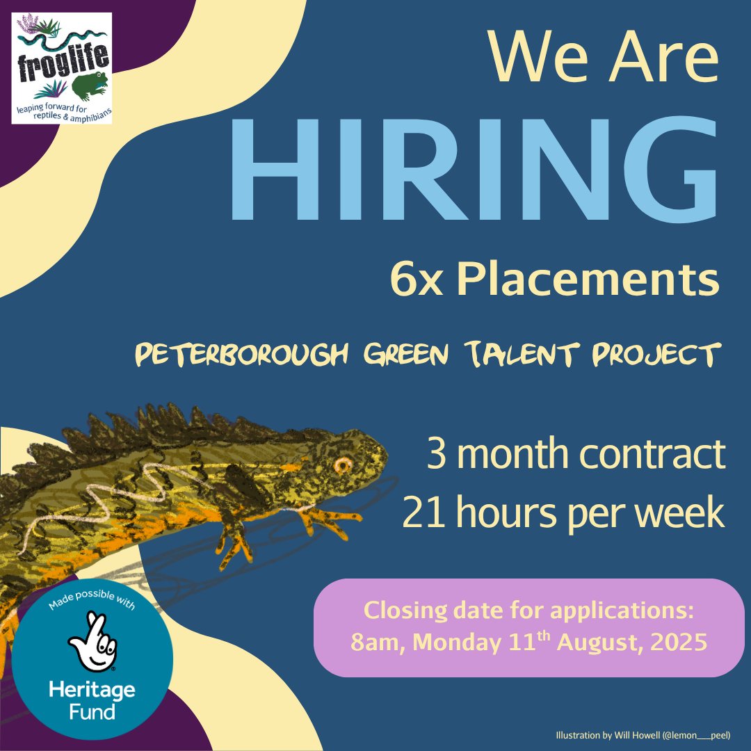 Froglife (@froglifers) on Twitter photo 📣LAST CHANCE TO APPLY📣
We have a #jobopportunity for a 3-month paid placement through our project: Green Talent!
No previous experience/skills required just enthusiasm & a passion to help conserve habitats for struggling species.
ow.ly/ceHh50WnBjX
<a href="/HeritageFundUK/">The National Lottery Heritage Fund</a> 📣LAST CHANCE TO APPLY📣
We have a #jobopportunity for a 3-month paid placement through our project: Green Talent!
No previous experience/skills required just enthusiasm & a passion to help conserve habitats for struggling species.
ow.ly/ceHh50WnBjX
<a href="/HeritageFundUK/">The National Lottery Heritage Fund</a>