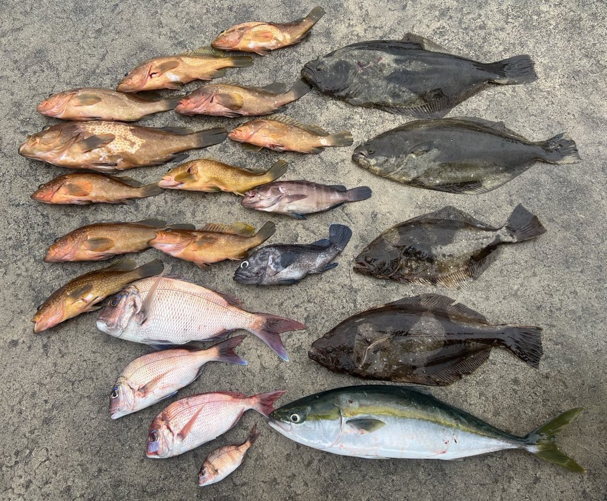 佐渡釣行、初日熱中症になって友人達に迷惑をかけ、ほとんど動けず二日目の今日タナカさんが紹介してくれた船宿にいきました、キジハタ、ヒラメ、ワラサ、キツネメバル釣れました、今まで多くの船宿に通いましたが、
トップクラスの良い船宿でした、キジハタ50釣れて嬉しい！