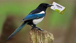 stevenagejunior's tweet image. We’ve had some token magpies today 🐦 

Token 58 and 59 have gone missing! Don’t worry, you’re not in trouble but we’d appreciate if you could email in to stevenage-juniors@parkrun.com if you have accidentally gone home with them 🏠 

Thank you ☺️