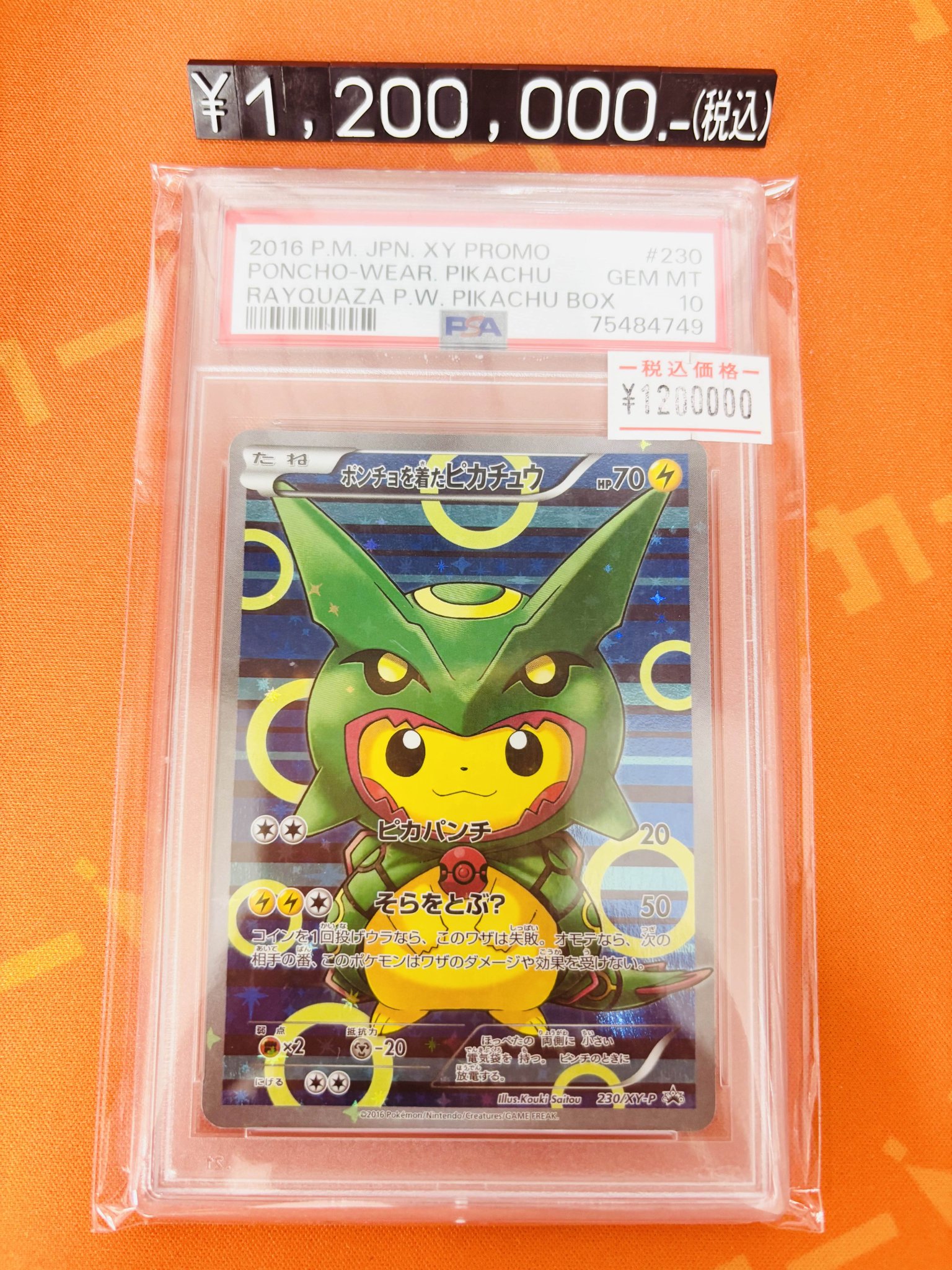 ポンゾウ　カードセットpkt.10枚 カードキングダム秋葉原店 / Card Kingdom Akihabara / カーキン