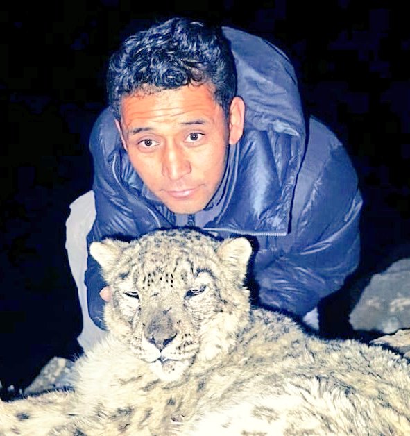 Khenrab Phuntsog, a wildlife guard in Ladakh, #India, has rescued 47 snow leopards over two decades using simple tools like a blanket and net
His method prioritizes the animal's well-being, using techniques that avoid the harmful effects of tranquilizers
 🐆
#wildlife <a href="/goel2705/">𝗢𝗿𝗮𝗻𝗴𝗲</a>