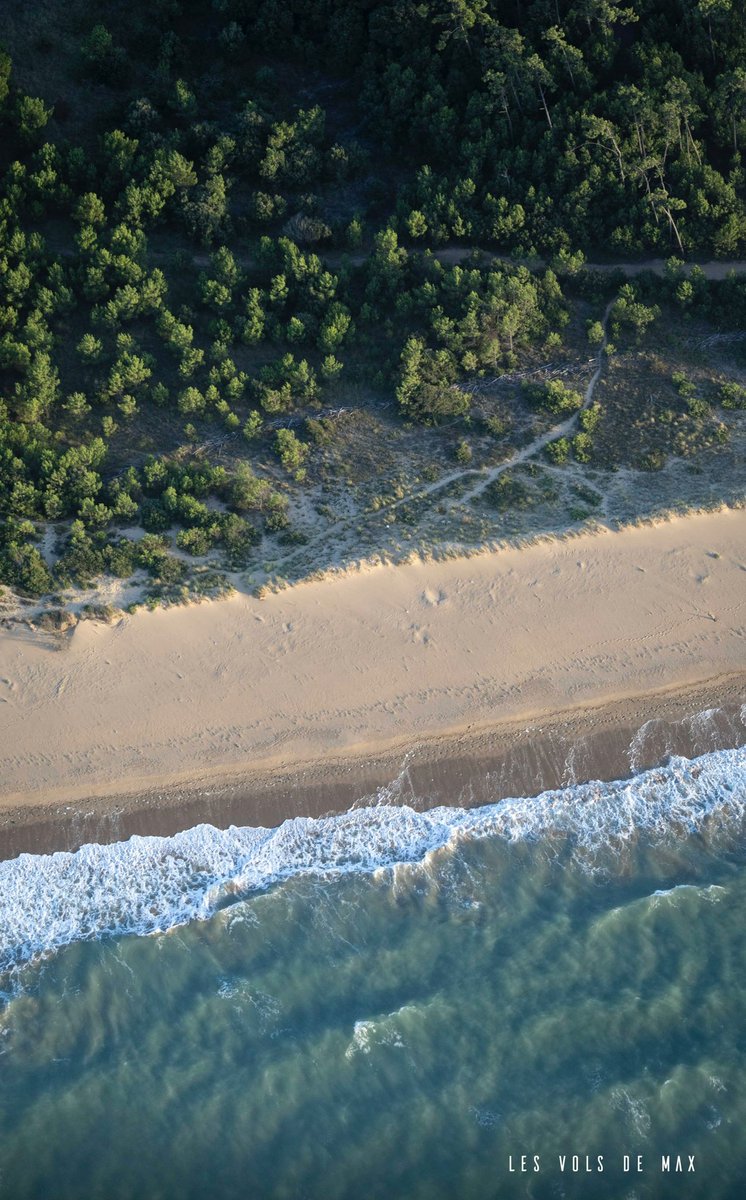 Oléron, entre mer, plage et forêt ✈️