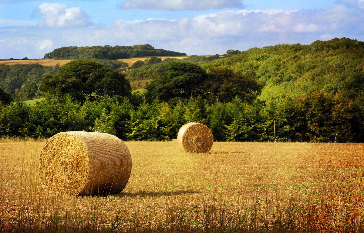 The Wolds are a landscape shaped as much by human history as by nature. Ancient earthworks and prehistoric burial mounds still act as reminders of the people who have farmed here for thousands of years. Roman roads once crossed this area, medieval sheep grazed