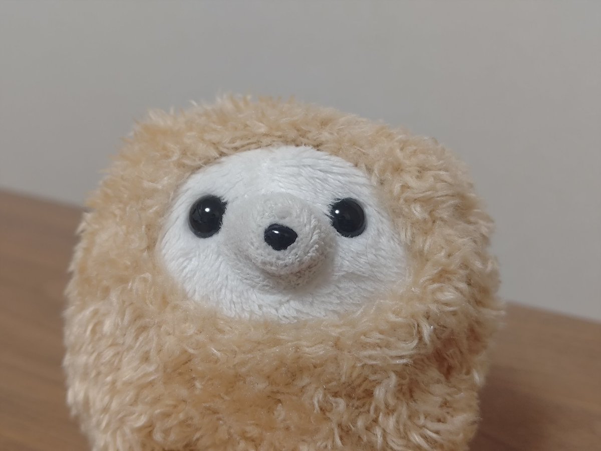 ごまのすけ🦭 tweet media