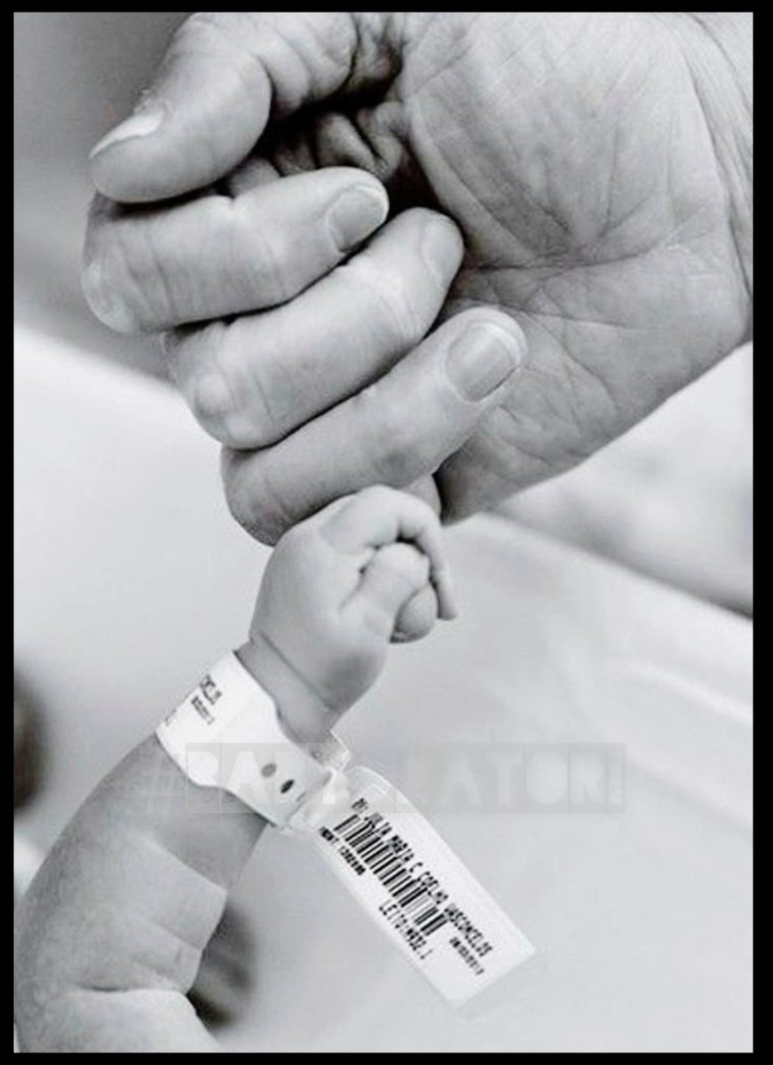 Ɗɽαcσ Lυcιυѕ Mαℓƒσу tweet media