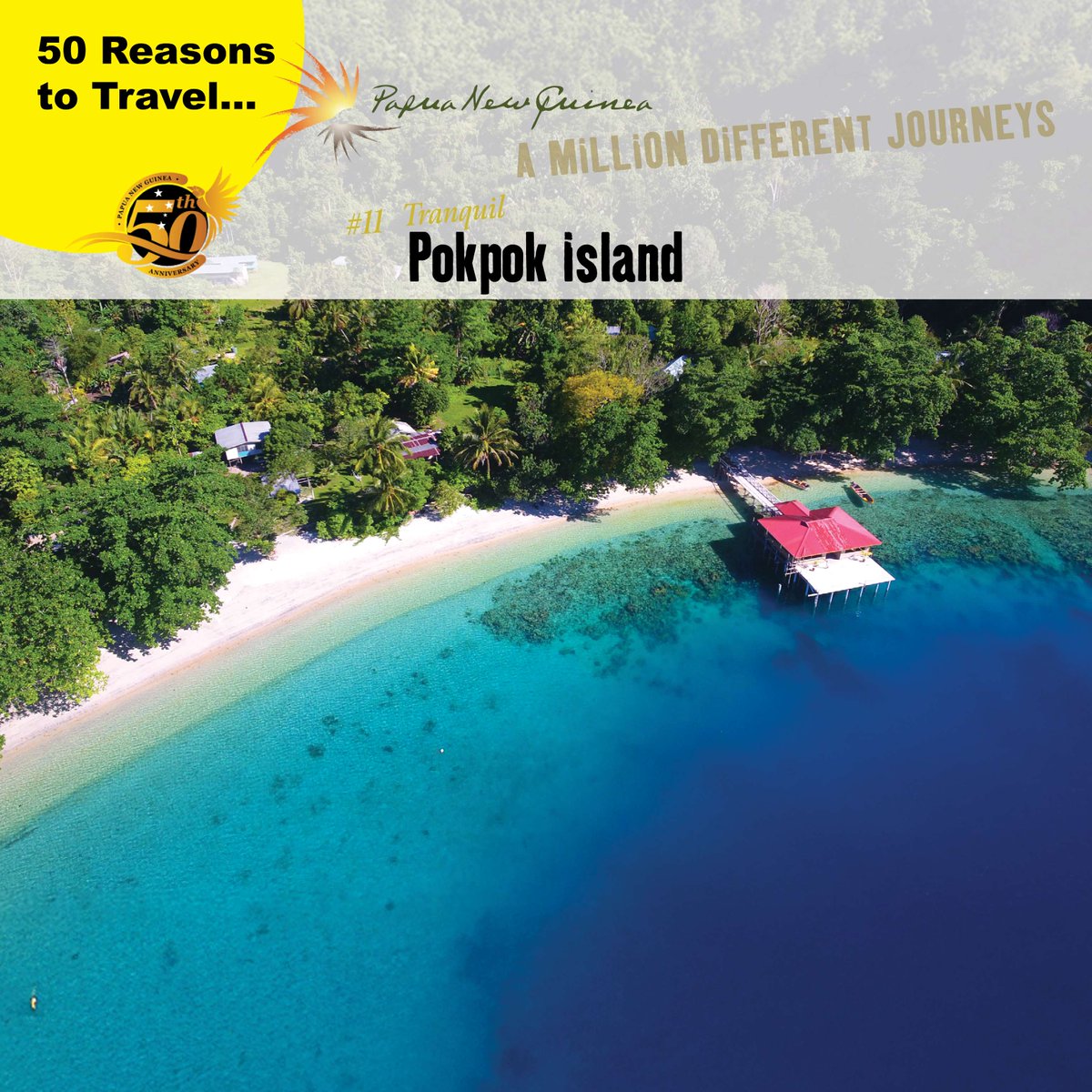 Papua New Guinea Tourism Promotion Authority (@pngjourneys) on Twitter photo π΅π¬ Reason #11: Uruna Bay Retreat ποΈ
Pokpok Island off the Kieta Peninsula in Central Bougainville, is ringed by beautiful islands. At Uruna Bay Retreat enjoy:
βοΈ Private white sandy beach
π Fun activities π£πββοΈπ€Ώπ£
β€οΈ Welcoming hosts
π papua-new-guinea-tourism.info/3IMhpbq
#VisitPNG #PNG50 π΅π¬ Reason #11: Uruna Bay Retreat ποΈ
Pokpok Island off the Kieta Peninsula in Central Bougainville, is ringed by beautiful islands. At Uruna Bay Retreat enjoy:
βοΈ Private white sandy beach
π Fun activities π£πββοΈπ€Ώπ£
β€οΈ Welcoming hosts
π papua-new-guinea-tourism.info/3IMhpbq
#VisitPNG #PNG50