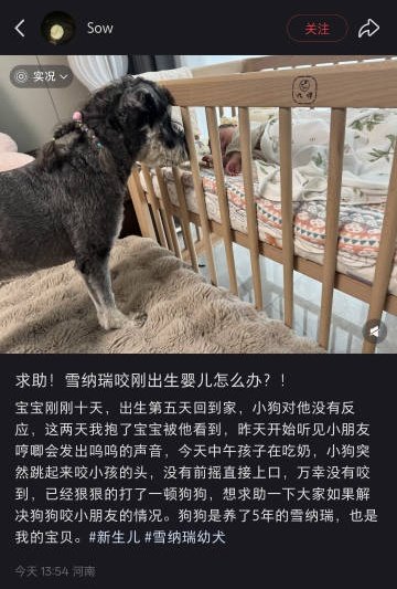这狗都咬你小孩了，虽说万幸没有咬到，但还留着干嘛？