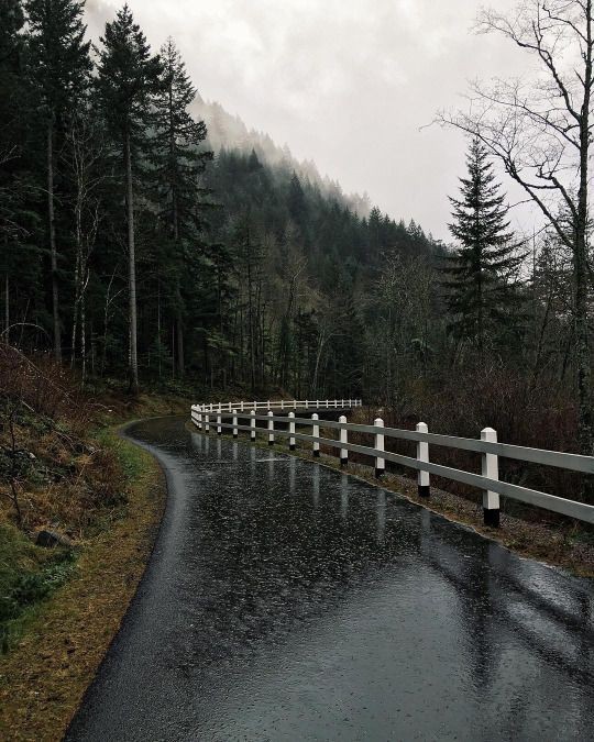 the comfort of rain