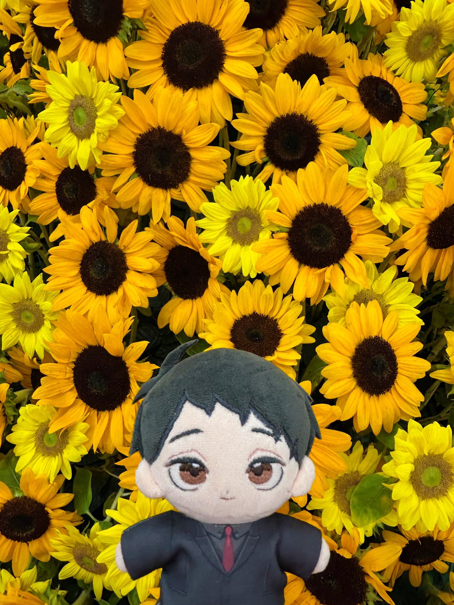 ぱもすけ on X: 