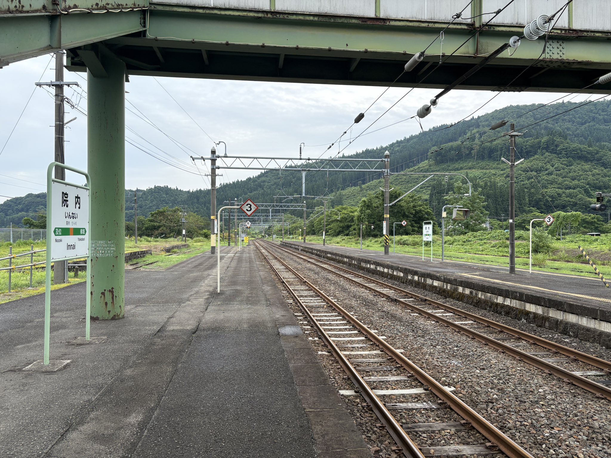 ねこっこページ こっこぱぱ (@coccopapa) / X