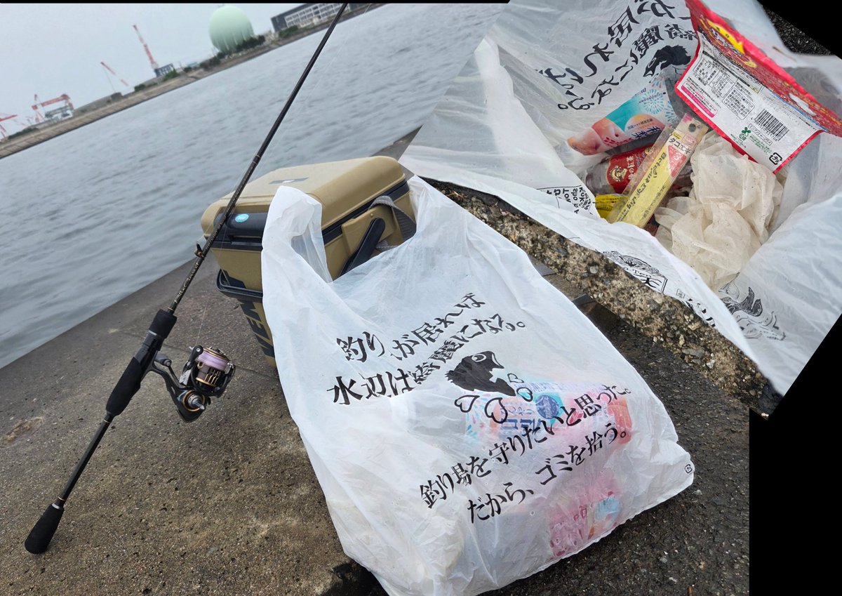 きゅうりが実ってきたー🙌
昼から上げのタイミングでスーパーライトキャロのキス釣り🎣
でも真鯛の子供がすごく邪魔してくるし、釣果は渋かった😣
まぁ酒のアテには十分😊
 #釣り人が居れば水辺は綺麗になる
 #NPO法人アングラーズプロジェクト
 #伊勢湾・三河湾継美隊