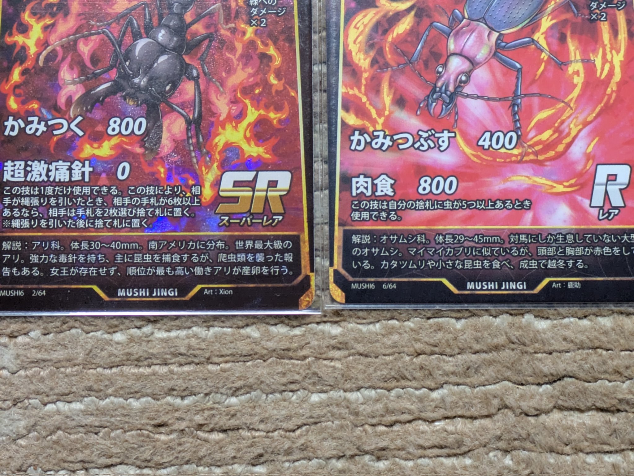 洞窟に潜む竜 エラーカード Amazon.co.jp: 遊戯王カード 【 洞窟に潜む竜 】 YSD4-JP005-N
