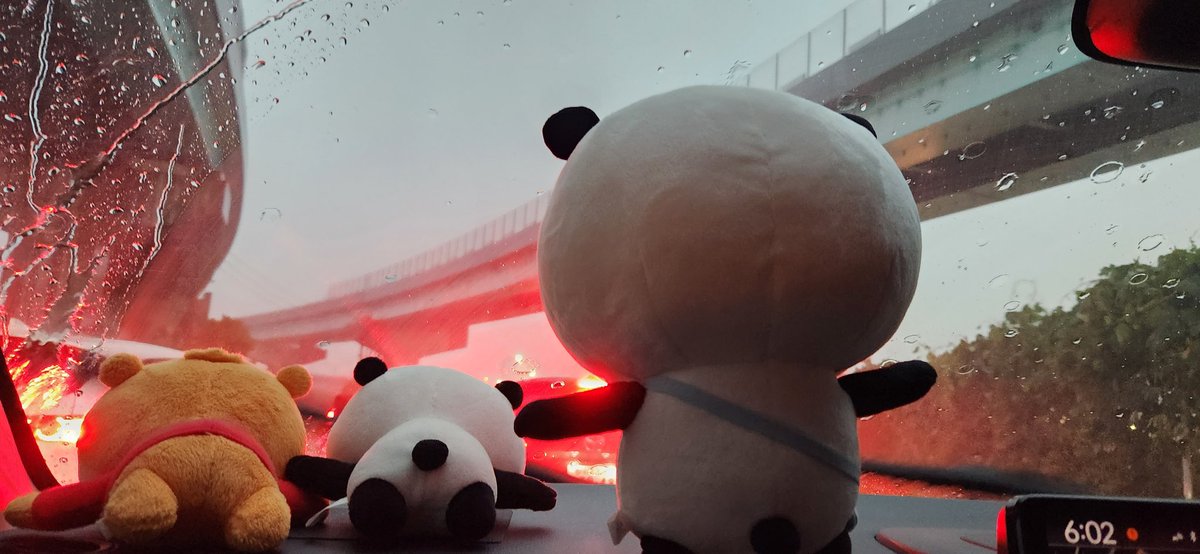 雷が近くに落ちた🐼！
雷なった瞬間近くのガソリンスタンドの停電した瞬間みてしまった！
大丈夫かな😭