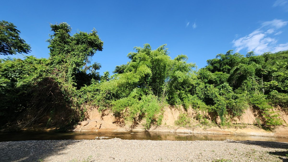 🍃🏞️🌞🌱🍺⛺