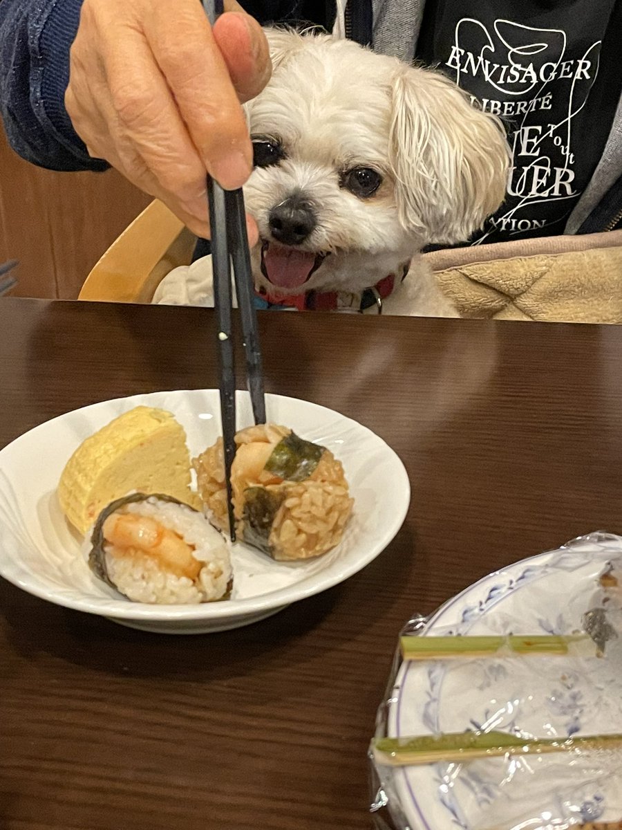 ご飯狙ってる時は、本当に可愛い顔してますね〜