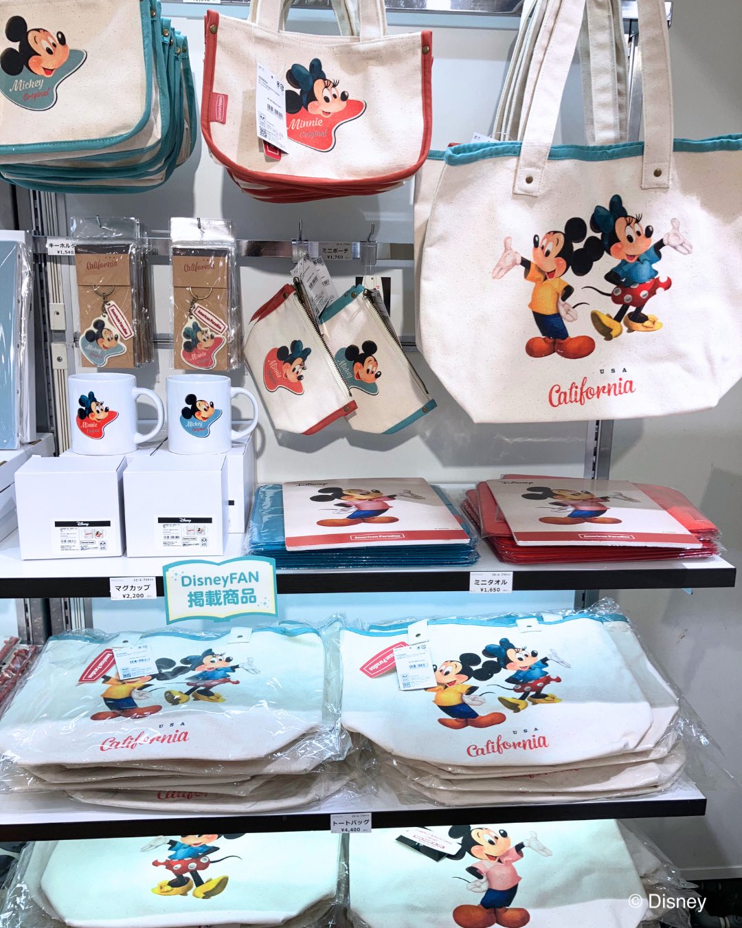 【限定販売】ディズニーザマーケット　ミラベルと魔法だらけの家　トートバッグ ミラベルと魔法だらけの家 キャンバストートバッグ ディズニーザ