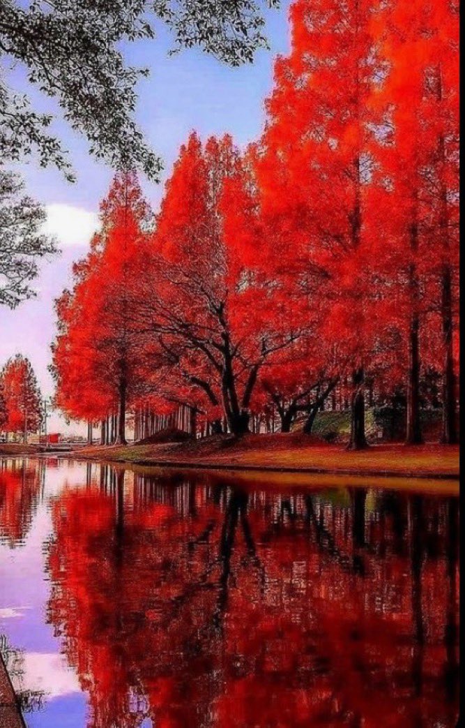 Engage 🤝 🥰Support🥰
♻️♻️Reposters♻️♻️

<a href="/BeeAwake1/">Bee 🐝🌿</a> 
<a href="/cassa83072/">Cassandra Ward</a> 
<a href="/V_Lady2024/">𝐿𝒶𝒹𝓎 𝒱 🥀</a> 
<a href="/LondonSparkle1/">Dives Sum</a> 
<a href="/Todd4USA/">Todd4USA</a> 
<a href="/TerriPaul214940/">Terri Paul</a> 
<a href="/RockyMtMama1/">RockyMtMama</a> 
<a href="/GtheOriginal/">GᵀᴴᴱOᴿᴵᴳᴵᴺᴬᴸ</a> 
<a href="/LisaReneeM/">Lisa 🇺🇸</a> 
<a href="/bitterness_joy/">Bitterness_Joy</a> 
<a href="/Para_Bellum666/">OldMonkey🇨🇵🇺🇸🇨🇦</a> 
<a href="/WildHeartoO/">💘 ₩łⱠĐ ⱧɆ₳Ɽ₮ 💘 ₭₳₮łɆ</a> 
<a href="/bluebird1956056/">bluebird1978</a> 
<a href="/Sagger08/">Patrick</a> 
<a href="/nicoletamb1224/">Nicole Tamburello ♥️🤍💙</a> 
<a href="/Faithmokua4/">Fay🇰🇪🇺🇸</a>