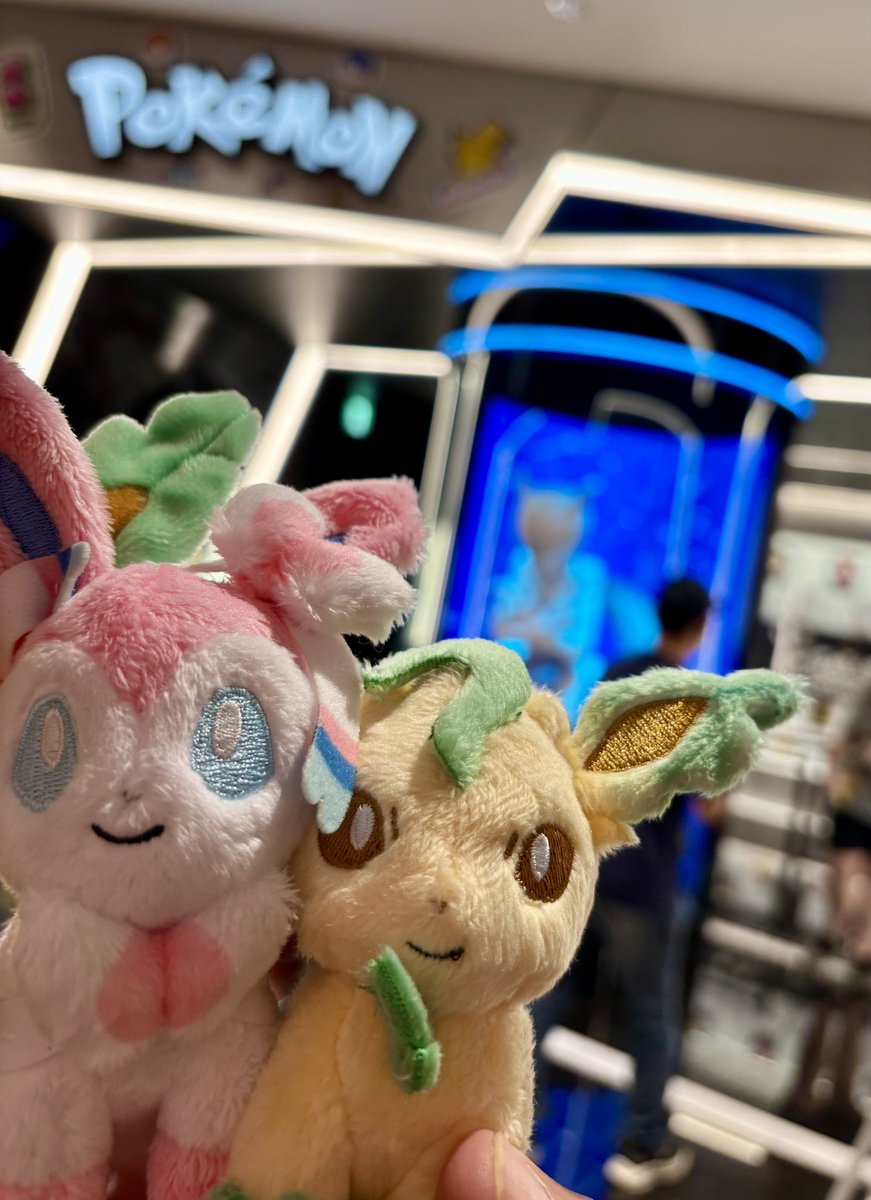 AnamiTokiya's tweet photo. 渋谷のポケセンはいつもアホみたいに混んでるけど、ポケモン好きなら絶対楽しめるから、ぜひ一度行ってみてね。念願のリーフィアが買えて満足です。彼が葉っぱを操るなら、僕は「言の葉」を操るぜー、ゆーとりますけども。 #こあのなつしゅくえにっき2025 https://t.co/9hpSotaXgd