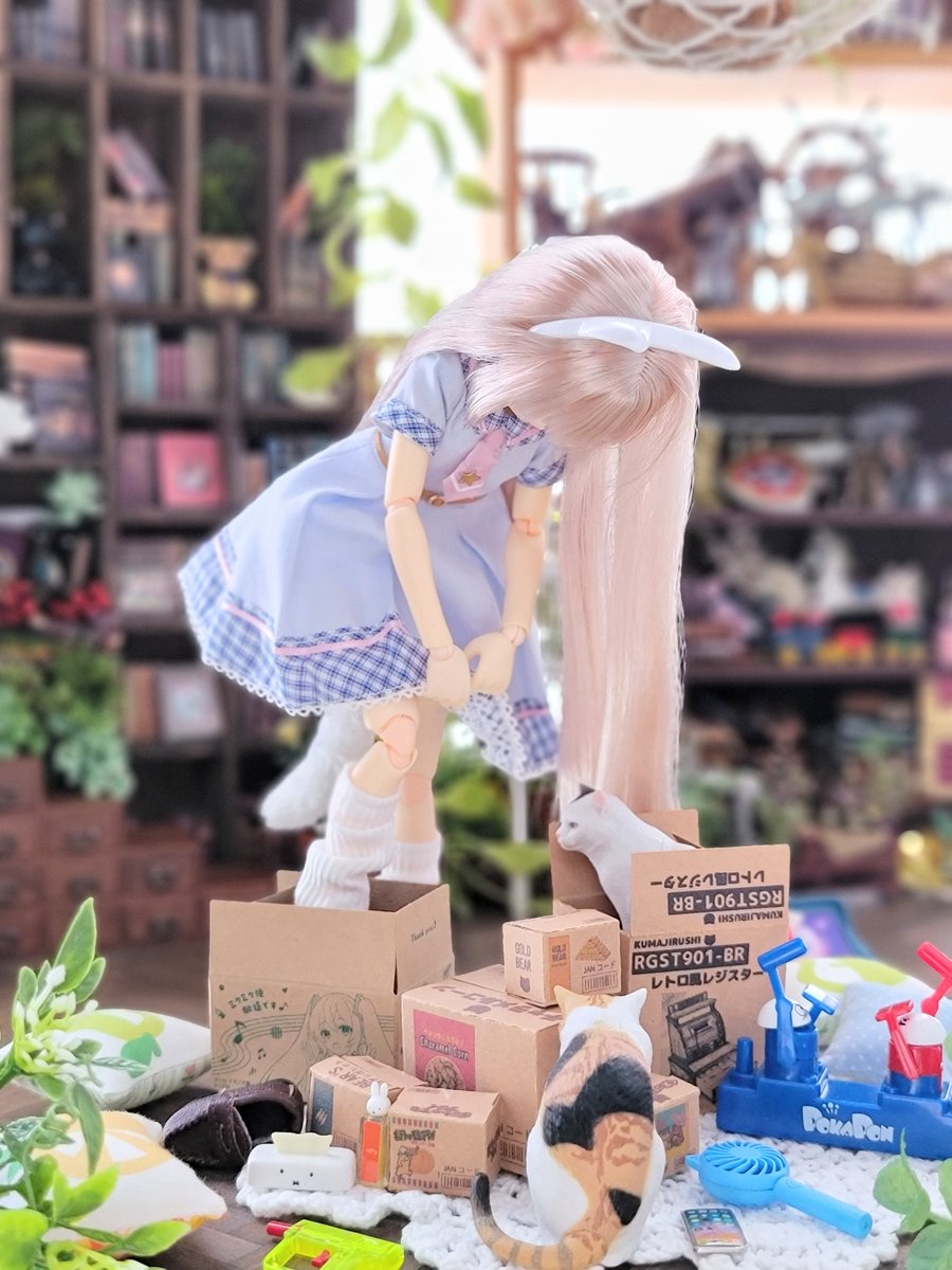 ギリいける…！(๑•̀ω•́ฅ✨

#世界猫の日